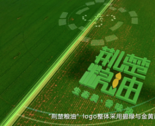 重磅！《“荆楚粮油”系列宣传短片》上线，探寻湖北餐桌上的秘密！
