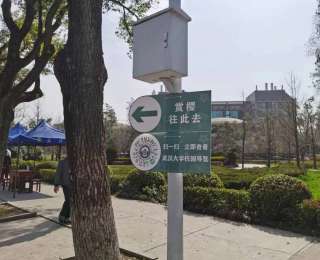 腾讯位置服务联合武汉大学推出最佳赏樱路线 数字化导览打卡最美樱花