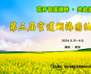 2024第三届官莲湖海图油菜花音乐节盛大开幕：金色花海中的音乐狂欢