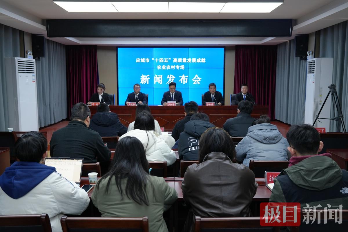 应城筑牢“三农”压舱石，描绘乡村振兴新画卷