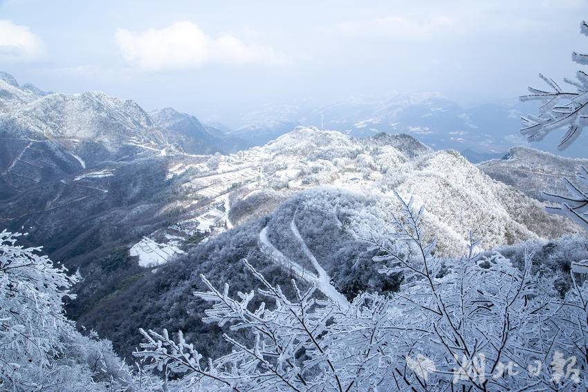 雪落巴东绿葱坡：一身银裳，几抹嫣红