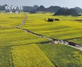 “赏花经济”带火乡村文旅消费，“花好常开”让“流量”变“留量”