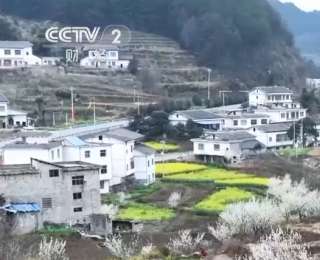 赏花、摘果、运动、慢游“牵手”春日经济 释放消费多“彩”活力