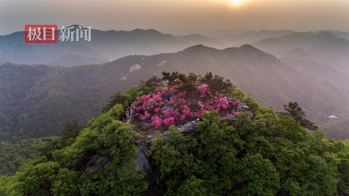 笔架花海2.jpg
