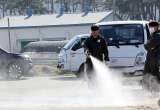 口蹄疫蔓延 韩国部分地区预警级别升至最高级
