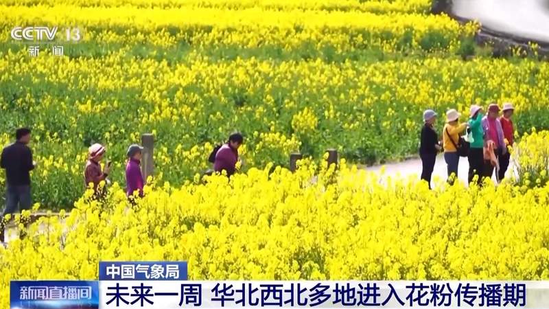 未来一周气温回暖 春暖花开也需防过敏