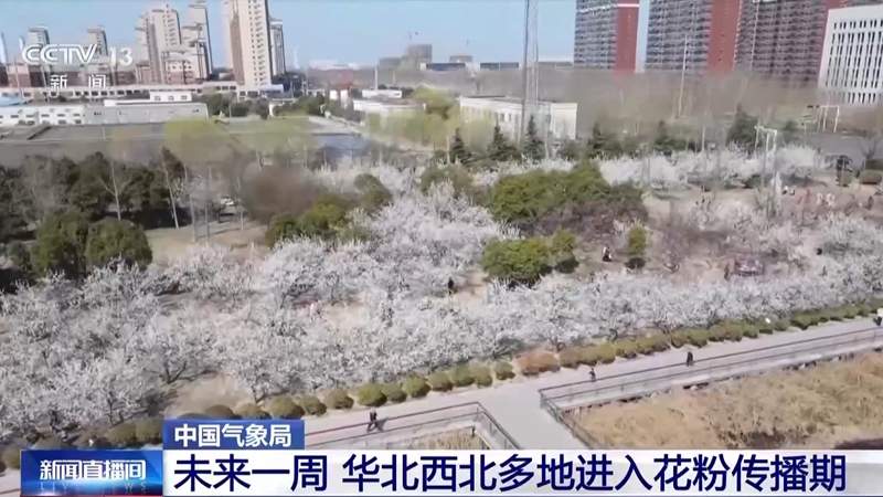 未来一周气温回暖 春暖花开也需防过敏