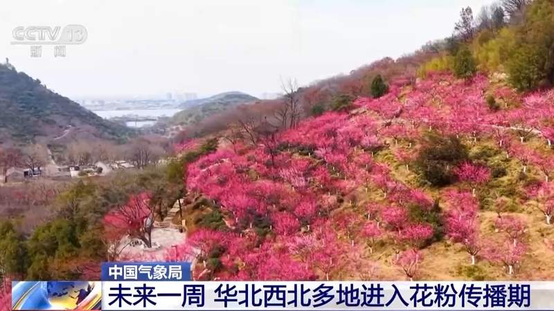 未来一周气温回暖 春暖花开也需防过敏