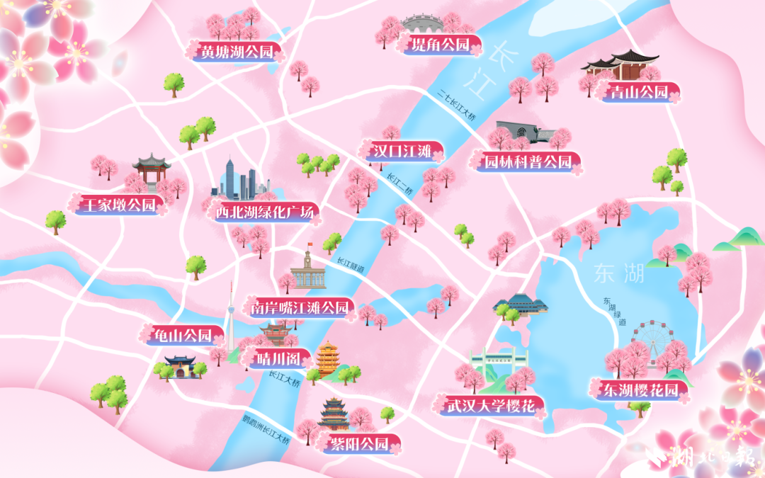 樱花地图.png