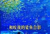 “美人鱼”水下训练被鲨鱼袭击机智“鲨口逃生”，十级伤残谁该担责