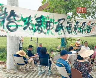 麦浪里奏响诗与远方，新洲这场民谣音乐会把春天唱进心坎儿