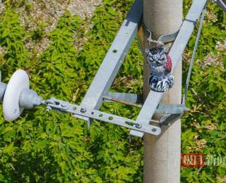 “猫头鹰”仿生驱鸟器站上电线杆，武汉供电筑牢线路安全屏障