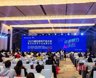 湖北年营收过5000万元AI企业占比超35%，快速发展势头明显