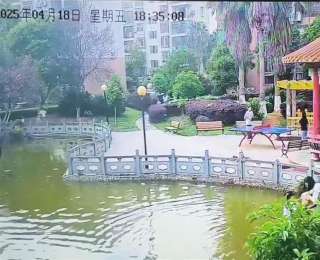 小女孩玩耍跌入小区水池，六旬保安果断跳水10秒救起