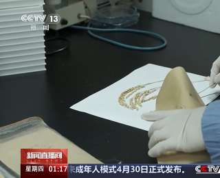 中国空间站多项太空实验已取得成果 未来将陆续开展千余项研究