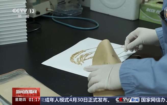 中国空间站多项太空实验已取得成果 未来将陆续开展千余项研究