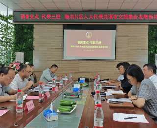 人大代表深入湘洪片区调研，为推动农文旅融合发展建言献策