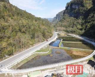 鹤峰白泉河畔，蟹稻共生一地双收