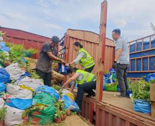 500箱花苗散落，50分钟化险！湖北交投“爱路-AiLu”志愿者获点赞