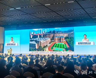 全国基础教育唯一代表！汉阳的她在世界级大会发言
