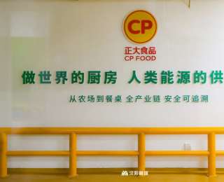 又一知名跨国企业，落子武汉！