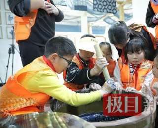 中药材变香包、土豆成佳肴，湖北巴东把课堂搬进山水间