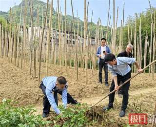 利川民警田间勘界解纠纷，多元调解促邻里言和