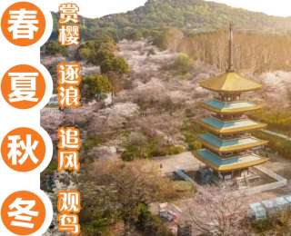 武汉东湖风景区发布四季游线路