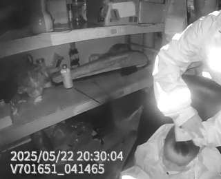 暴雨夜幼童迷路，民警辅警借助超市快递系统排查“手机尾号”，成功联系上家长