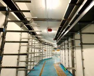 武汉在建规模最大！光谷中心城综合管廊工程主体结构全线贯通