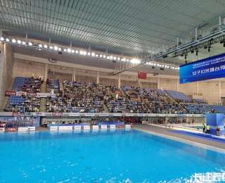 陈芋汐、张家齐等奥运冠军来了！全国跳水冠军赛今天在武汉开赛