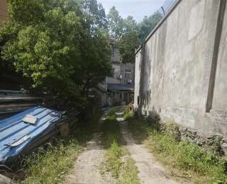 社企共建让“闹心路”变身“舒心道”