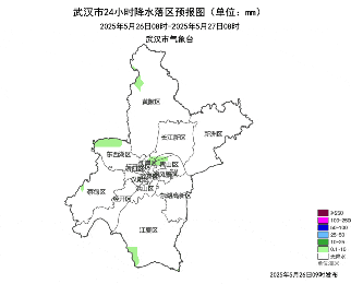 大雨、暴雨又要来了！武汉市气象台最新发布