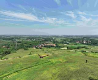 江夏徐河村：移风易俗 “小切口”，撬动乡村振兴 “大变革”