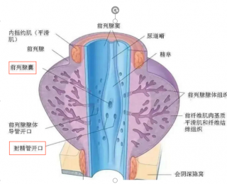 杭州美中宜和妇儿医院：1岁宝宝反复附睾炎，结扎输精管是唯一选择吗