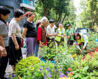 江汉城管园艺师进社区“授课”， 助力居民共建共享“美好家园”