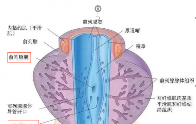 杭州美中宜和妇儿医院：1岁宝宝反复附睾炎，结扎输精管是唯一选择吗