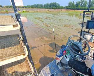 北斗导航，插秧也能实现无人驾驶