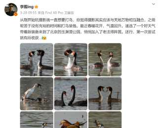 李现拍鸟成公务员省考面试题，官方回应