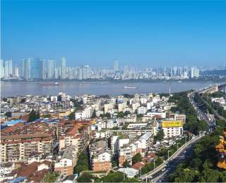 快看！武汉这条大道的城市海报又上新了！