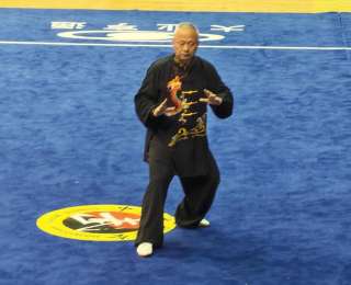 36枚奖牌闪耀全国！黄陂武术健儿在太仓扬威