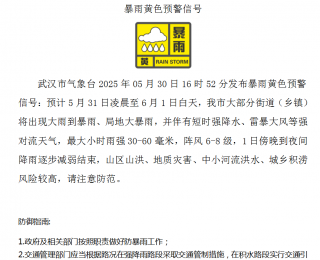 武汉市气象台发布暴雨黄色预警