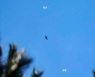 金星西大距和火星伴月助兴“六一”儿童节
