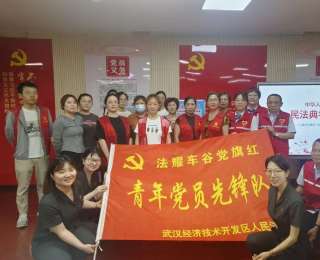 “典”亮生活 法护万家，武汉经开区法院军山法庭走进龙湖社区开展民法典普法活动