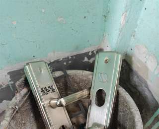 奇葩！业主房屋空置一年多，阁楼门前和露台变成菜地