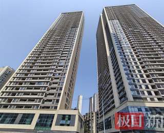 极目帮办|大雨过后汉阳一小区多部电梯停摆，居民只能爬楼梯运送装修材料