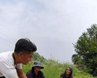 “渣鹅”移情别恋后，饲养员为伤心母天鹅安排了两只新的公天鹅