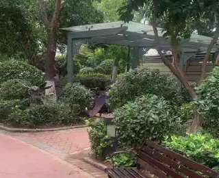 极目帮办|亡夫手机遗失成全家伤痛，武汉母子急盼归还承载思念的“情感信物”