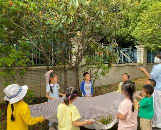 童心采摘乐，满园枇杷香