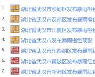 武汉已出现极端暴雨！部分铁路封锁、限速